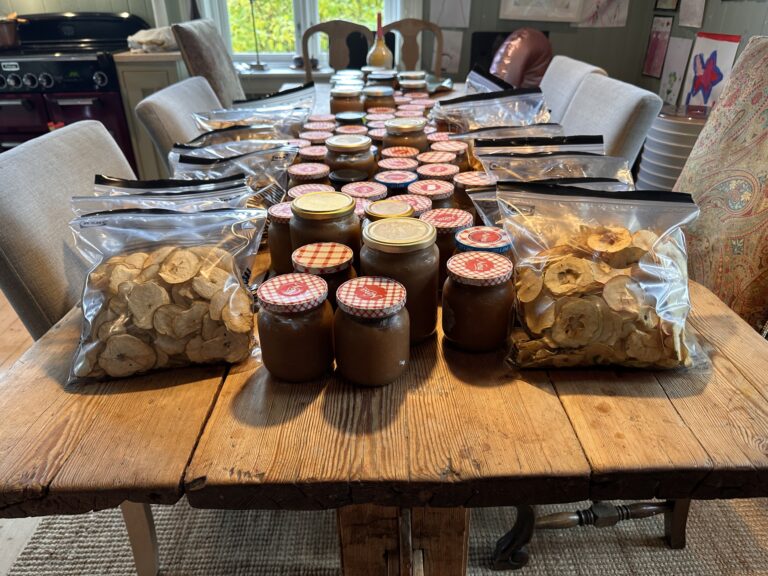 Vom verlorenen Gepäck und 40l Apfelmus