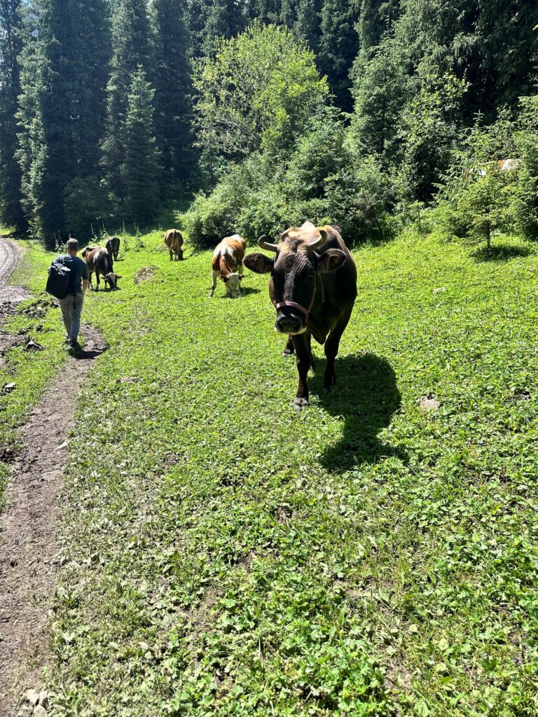 Karakol